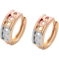 NAEMI Oorbellen goud / rose-goud / zilver