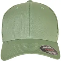 Flexfit Pet groen / zwart / zilver