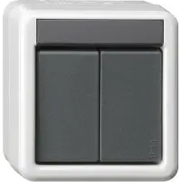 Gira Taster, 2-voudig, 2-polig, model WG 516230 AP, grijs