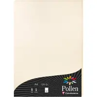 Pollen Papier