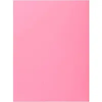 Exacompta 348003e Pink Folder 100 Units Roze Kinderen