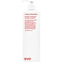Evo Haarverzorging Verzorging Protein Treatment 1000 ml