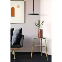UMAGE Asteria Medium Hanglamp Ruby Red | Steel