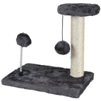 Sonstiges Boomkatje