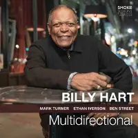 Hamstead Soundworks Multidirectional