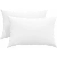 vidaXL Zitkussens 2 st Stof Wit 60 x 40 cm