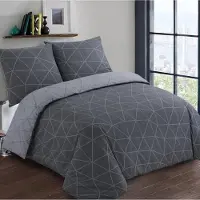 Vision Hugo - Tweezijdig omkeerbaar Dekbedovertrekset - 100% katoen: zacht en soepel - Lits-jumeaux - Dekbedovertrek 240 x 220 cm met 2 bijhorende slopen - Antraciet / Grijs - Oekotex gecertificeerd