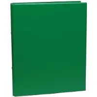 Aurora Ringmap voor ft A4, 2 ringen van 25 mm, uit PVC, groen - 4 stuks