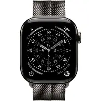Apple Watch Strap - 42mm - Slate - Milanese Loop