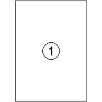 Quantore Etiket 210x297mm 100 stuks