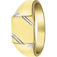 Lucardi Ring 'Luxuriös' goud / zilver