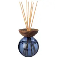Intratuin Geurstokjes Indi Pure Silk Blauw 500 Ml