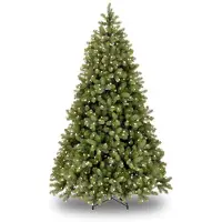 Molecule National Tree Company 31HPEBY70 Bayberry Spruce - 213 cm