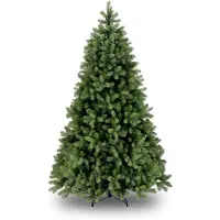 Van Der Gucht National Tree Company 31HPEBY50 Bayberry - 152 cm