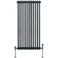 Monster Traditionele radiator met 2 kolommen - 1500 x 562 mm - Anthracietgrijs