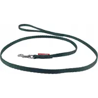 Champion Hondenlijn Klassiek 120cm Groen - Duurzaam & Stijlvol