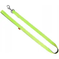 Dingo Energy Hondenlijn Groen 1.6cm x 120cm - Sterk & Stijlvol