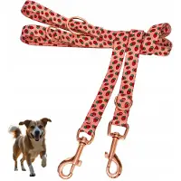 Yourdog Verstelbare Hondensnoer 2.4m - Sterke Trainingslijn met Fruitprint