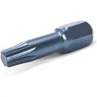Rawlplug Torx Torsie Bitset T25 T30 T40 - 3 Stuks