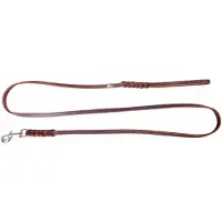 Dingo Zacht Lederen Gevlochten Hondenhalsband 0,8x180cm Bruin