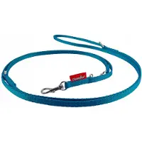 Champion Verstelbare Hondensnoer 225cm - Turquoise