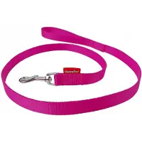 Champion De Hondenriem 120cm Ras 2cm - Kleur Felle