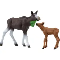 Schleich W