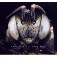 OUTHERE Kaly Live Dub - Allaxis (2 LP) (Coloured Vinyl)