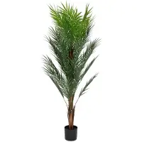 Homla - Artificial Plant - TROPICAL ZONE - Palm Tree - 150 cm