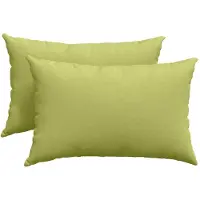 vidaXL Zitkussens 2 st Stof Lichtgroen 60 x 40 cm