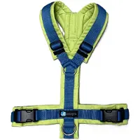 AnnyX Hondentuig Limited Edition –Vergeet mij Nietje- Y-tuig– Maat L – Ergonomisch & Verstelbaar – Comfortabel Tuig