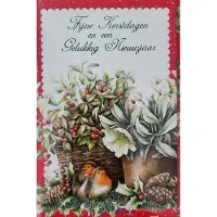 Janneke Brinkman 8 Kerstkaarten Roodborstjes - 8 kaarten met enveloppen fijne feestdagen