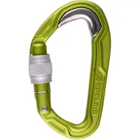 Edelrid Bulletproof Screw II Karabijnhaak, groen 2023 Karabijnhaken