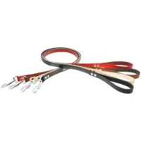 Dino Leren Hondenhalsband 15mm x 120cm