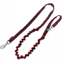 Champion Hondenlijn met Schokdemper - 250cm - Zwart/Rood