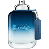 Coach Man Blue Eau De Toilette spray 100ml