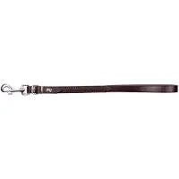 Dingo Korte Leren Hondenriem 2x70 cm Bruin