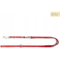 Dingo Leren Hondenriem Verstelbaar 1x200cm Rood