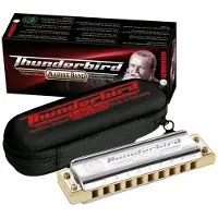 Hohner Marine Band Thunderbird Harmonica Low E