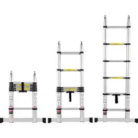Vevor Telescopische Ladder