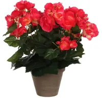 Mica Decorations Kunstplant Begonia Roze 30 Cm