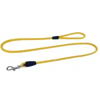 Champion Hondenlijn Traditioneel 1,2m/0,6cm Honingkleurig voor Kleine Honden