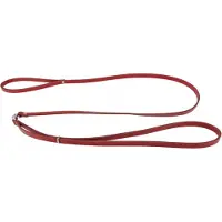 Champion Leren Ring SHow Lijn 130cm x 1.0cm