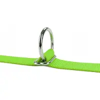 Happet Verstelbare Nylon Hondenlijn 3m - Limoncello S