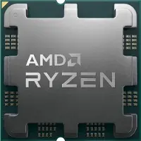 AMD Ryzen 9 9900X3D