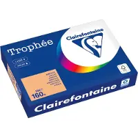 Clairefontaine Gekleurd papier Abrikoos A4 80 grams (500 vel)