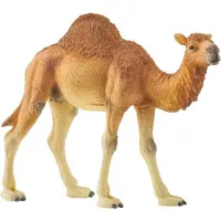 Schleich - Wild Life - Dromedary (14832)