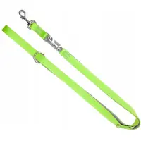 Dingo Energy Silver Verstelbare Hondensnoer - Groen, 2.2m