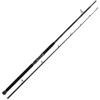 Shimano Fishing Beastmaster Ax Multi Catfish Rod Zilver 2.30 m / 200 g