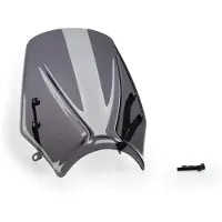 Puig New Generation Sport Triumph Trident 660 2025 Voorruit